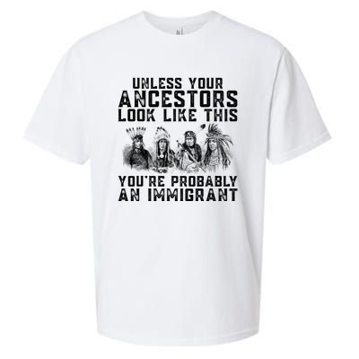 Your Ancestors Look Like This YouRe Probably An Immigrant Sueded Cloud Jersey T-Shirt