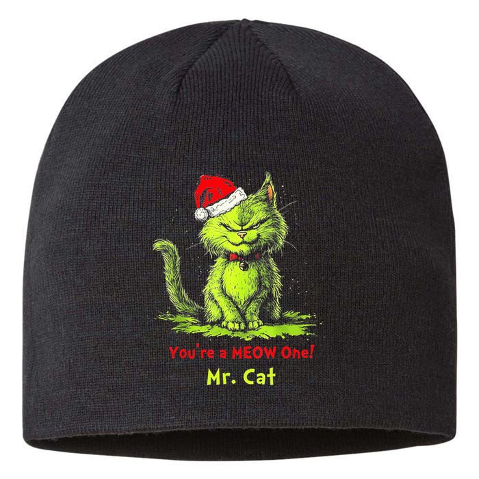 YouRe A Meow One Mr Cat Sustainable Beanie