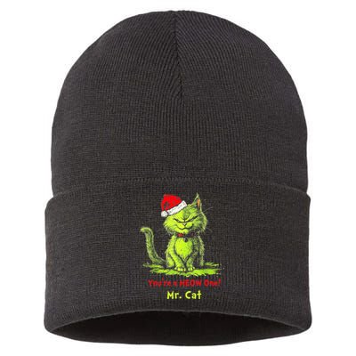 YouRe A Meow One Mr Cat Sustainable Knit Beanie