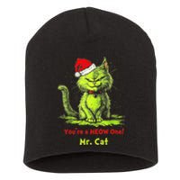 YouRe A Meow One Mr Cat Short Acrylic Beanie