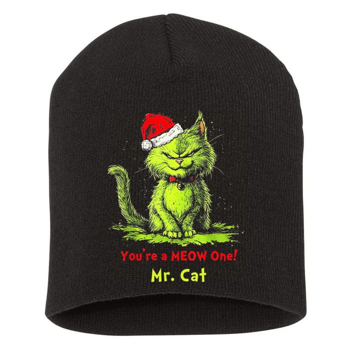 YouRe A Meow One Mr Cat Short Acrylic Beanie