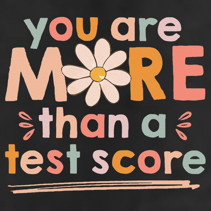 You Are More Than A Test Score Teacher Testing Day Beanie