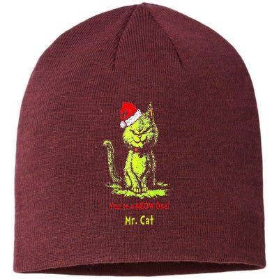 YouRe A Meow One Mr Cat Sustainable Beanie