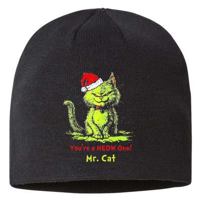 YouRe A Meow One Mr Cat Sustainable Beanie