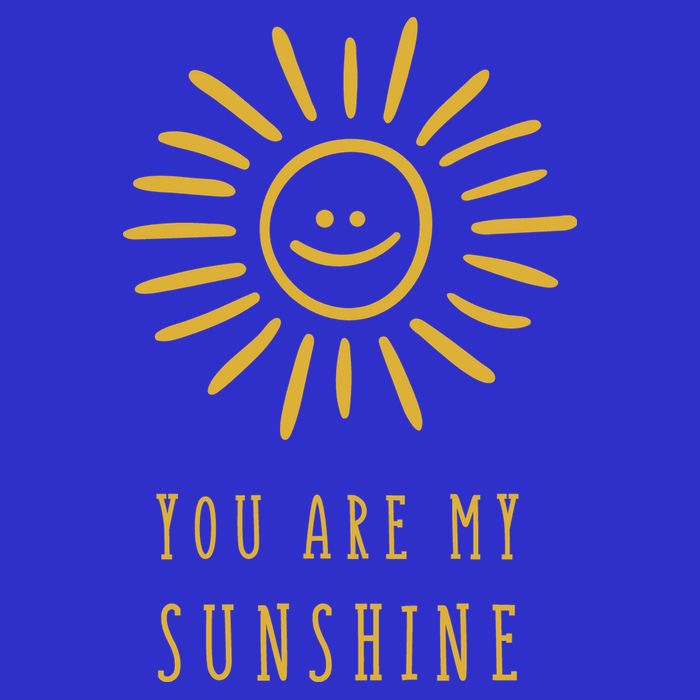 You Are My Sunshine Apron