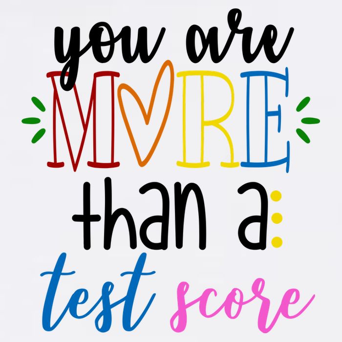 You Are More Than A Test Score Trucker Hat