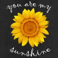 You Are My Sunshine Sunflower 7 Panel Mesh Trucker Snapback Hat