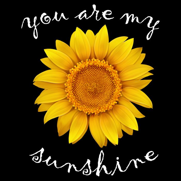 You Are My Sunshine Sunflower Tall T-Shirt