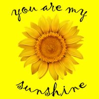 You Are My Sunshine Sunflower T-Shirt