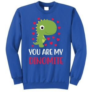 You Are My Dinomite Dinosaur Trex Valentines Day Gift Sweatshirt