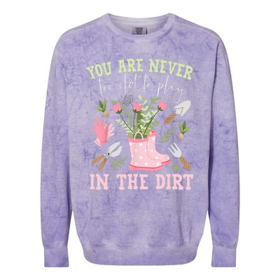 You Are Never Too Old To Play In The Dirt Plant Lover Colorblast Crewneck Sweatshirt