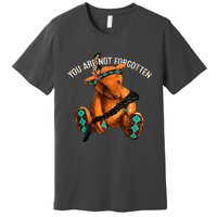 You Are Not Forgotten I Native American Women Mmiw Awareness Premium T-Shirt