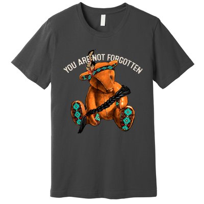 You Are Not Forgotten I Native American Women Mmiw Awareness Premium T-Shirt