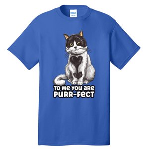 You Are Purrgiftfect Cat With Heart Drawing Valentines Day Gift Tall T-Shirt