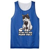 You Are Purrgiftfect Cat With Heart Drawing Valentines Day Gift Mesh Reversible Basketball Jersey Tank