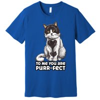 You Are Purrgiftfect Cat With Heart Drawing Valentines Day Gift Premium T-Shirt