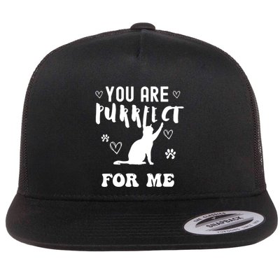 You Are Purrfect For Me Cat Lover Valentines Cats Meaningful Gift Flat Bill Trucker Hat