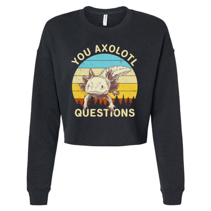 You Axolotl Questions Retro Funny Reptile Cropped Pullover Crew