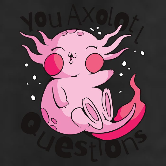 You Axolotl Questions Funny 7 Panel Mesh Trucker Snapback Hat