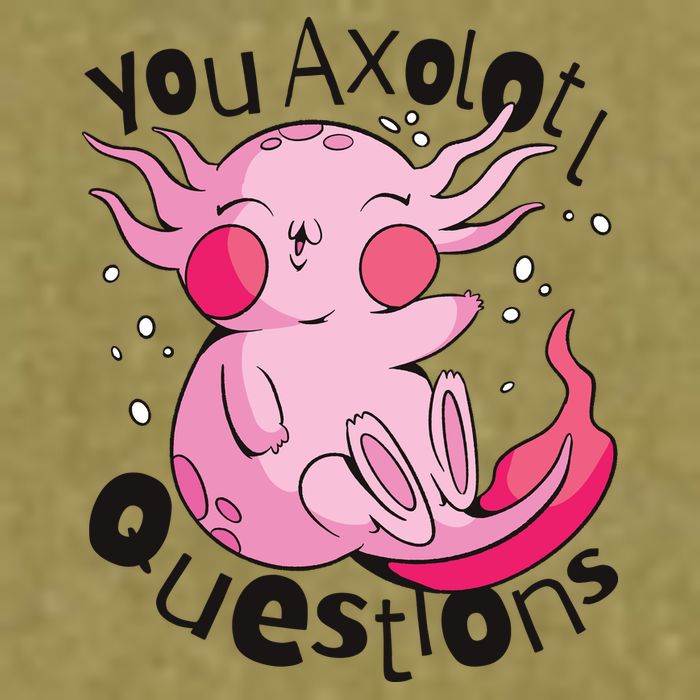 You Axolotl Questions Funny Garment-Dyed Women's Muscle Tee