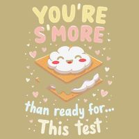 You Are Smore Than A Test Score State Test Day Teacher Performance Shirt