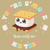 You Are Smore Than A Test Score State Test Day Teacher Performance Shirt