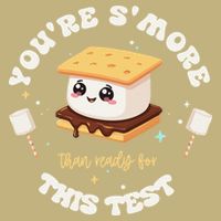 You Are Smore Than A Test Score State Test Day Teacher Performance Shirt