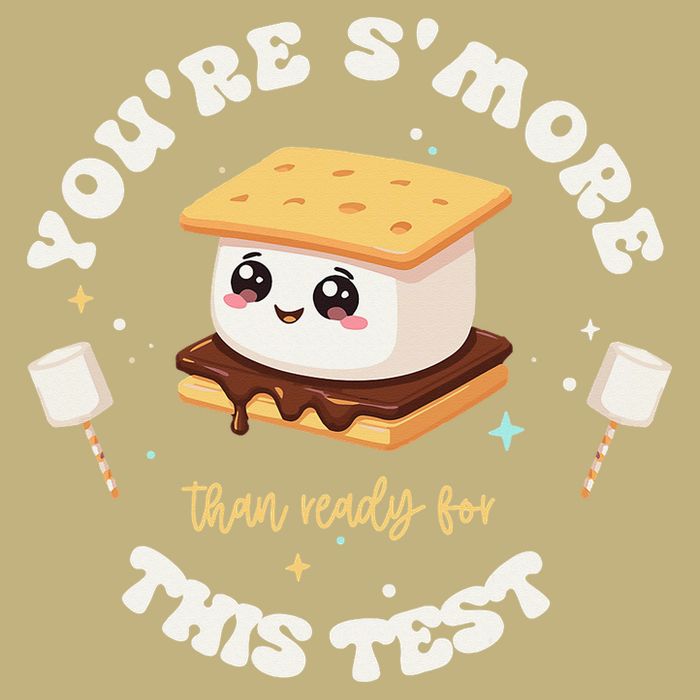 You Are Smore Than A Test Score State Test Day Teacher Performance Shirt