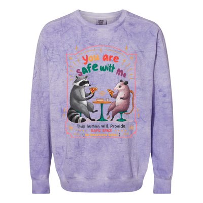 You Are Safe With Me Human Will Provide Safe Space Colorblast Crewneck Sweatshirt