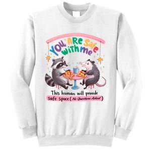 You Are Safe With Me Raccoon Lgbt Sweatshirt