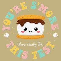 You Are Smore Than A Test Score State Test Day Teacher Performance Shirt