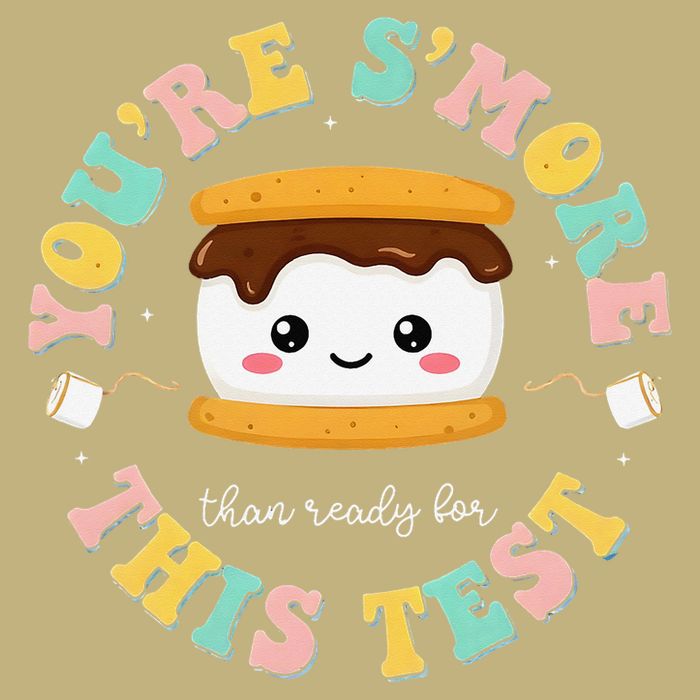 You Are Smore Than A Test Score State Test Day Teacher Hoodie