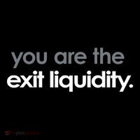 You Are The Exit Liquidity Trading Lover Funny Saying Quote Wool Snapback Cap