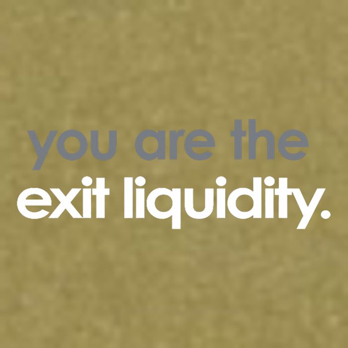 You Are The Exit Liquidity Trading Lover Funny Saying Quote Garment-Dyed Women's Muscle Tee