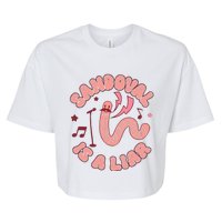 You’re A Worm With A Mustache Vanderpump Rules Scandovals Is A Liar Bella+Canvas Jersey Crop Tee