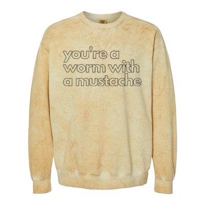 Youre A Worm With A Mustache James Kennedy Team Ariana Vanderpump Rules Lightwe Colorblast Crewneck Sweatshirt