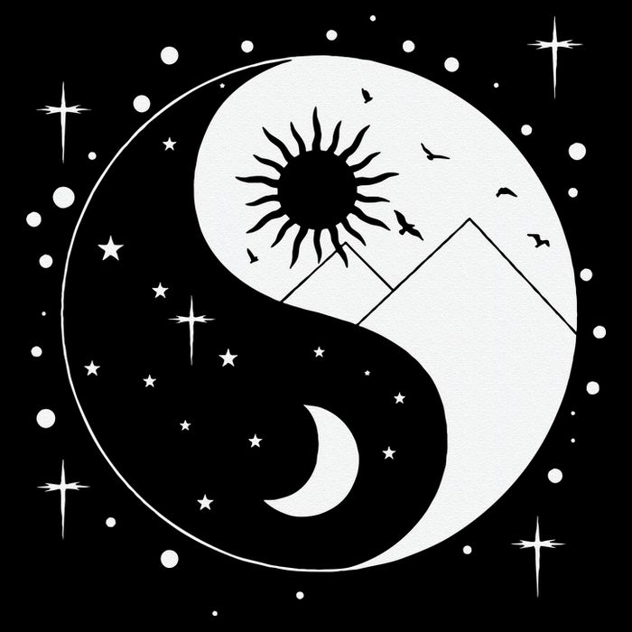 Yin and Yang 16 in Basic Backpack