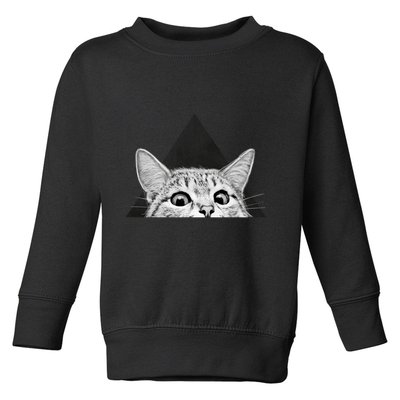 You Asleep Yet Toddler Sweatshirt