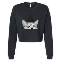 You Asleep Yet Cropped Pullover Crew