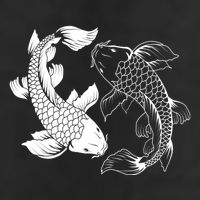 Yin And Yang Japanese Koi Fish Adult Drive Performance Visor