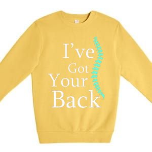 Your Back Chiropractor Gift Premium Crewneck Sweatshirt