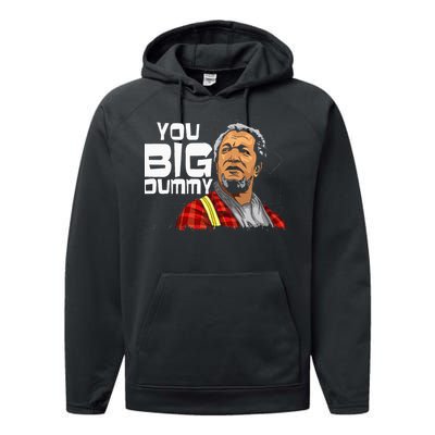 You Big Dummy Son In Sanford City Performance Fleece Hoodie