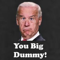 You Big Dummy Joe Biden Adult Drive Performance Visor