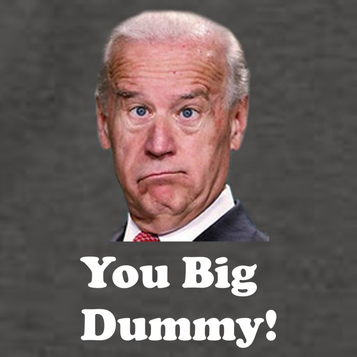 You Big Dummy Joe Biden Vector Backpack