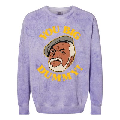 YOU BIG DUMMY Colorblast Crewneck Sweatshirt