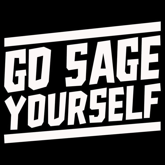 Yogi Bryan Go Sage Yourself Toddler T-Shirt