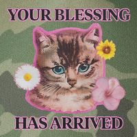 Your Blessing Has Arrived Cat & Funny Silly Catr Blessing Has Arrived Cat & Funn Legacy Tie Dye Trucker Hat