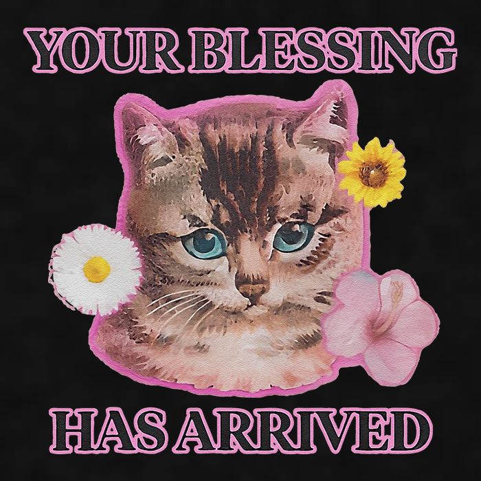Your Blessing Has Arrived Cat & Funny Silly Catr Blessing Has Arrived Cat & Funn Ladies PosiCharge Tri-Blend Wicking Tank