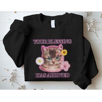 Your Blessing Has Arrived Cat & Funny Silly Catr Blessing Has Arrived Cat & Funn Sweatshirt