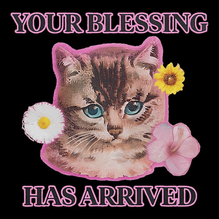 Your Blessing Has Arrived Cat & Funny Silly Catr Blessing Has Arrived Cat & Funn Sustainable Bucket Hat
